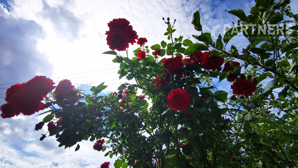 HOT PONUKA ! PLAVECKÝ ŠTVRTOK, 7i RODINNÝ DOM, 274 m², príjemné prostredie, záhrada s bazénom, or