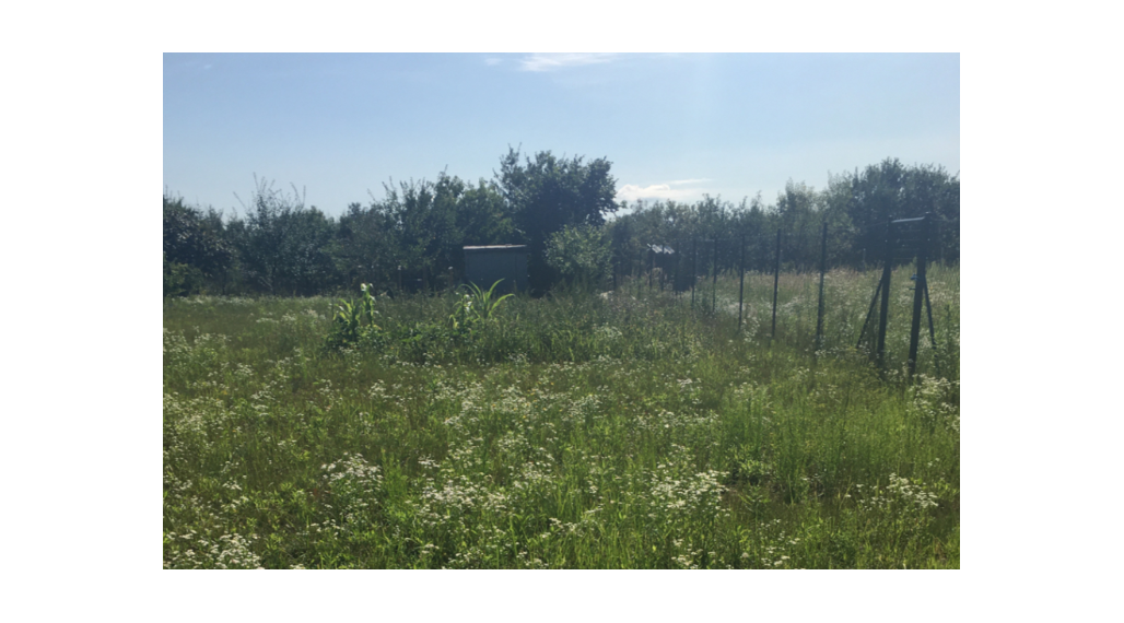 ZÁHRADA NA PREDAJ, STUPAVA-ZOHOR, DOSTUPNÁ POHODLNE AUTOM, elektrina