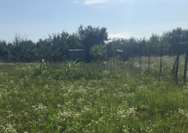 ZÁHRADA NA PREDAJ, STUPAVA-ZOHOR, DOSTUPNÁ POHODLNE AUTOM, elektrina