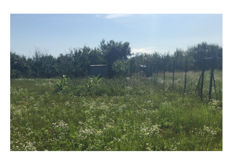 ZÁHRADA NA PREDAJ, STUPAVA-ZOHOR, DOSTUPNÁ POHODLNE AUTOM, elektrina